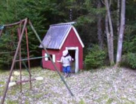 Beskrivelse: Beskrivelse: Sverige_04
